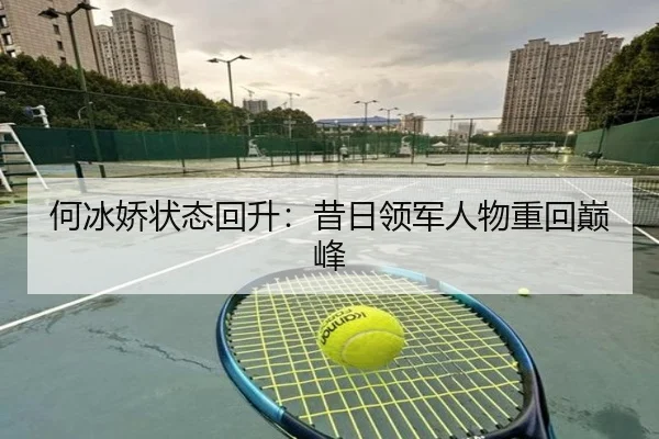 何冰娇状态回升：昔日领军人物重回巅峰